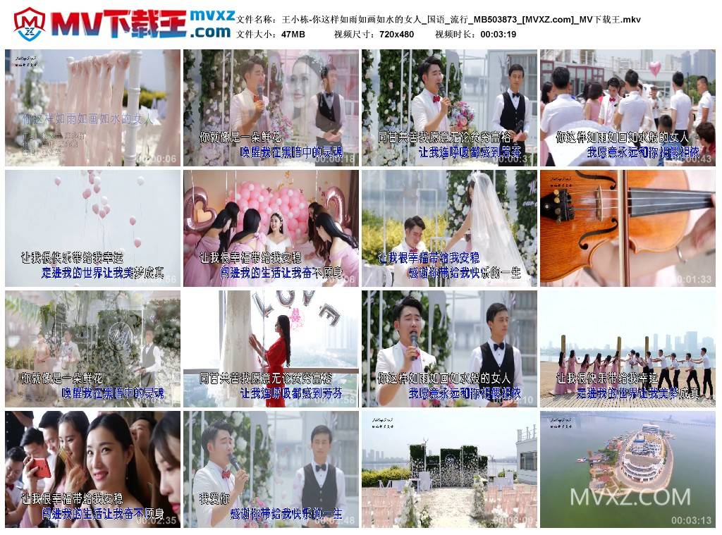 王小栋-你这样如雨如画如水的女人_国语_流行_MB503873